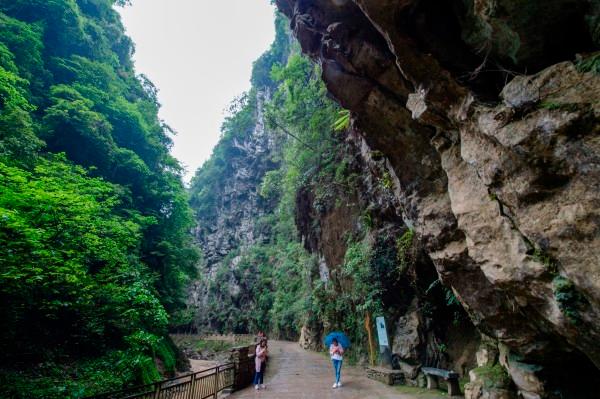 头发稀疏、缺乏光泽是什么原因导致的？怎样才能改善发质？游戏画面